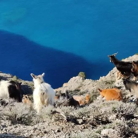 Iremia Des Waouw En Toute Serenite! *